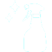 icon spray